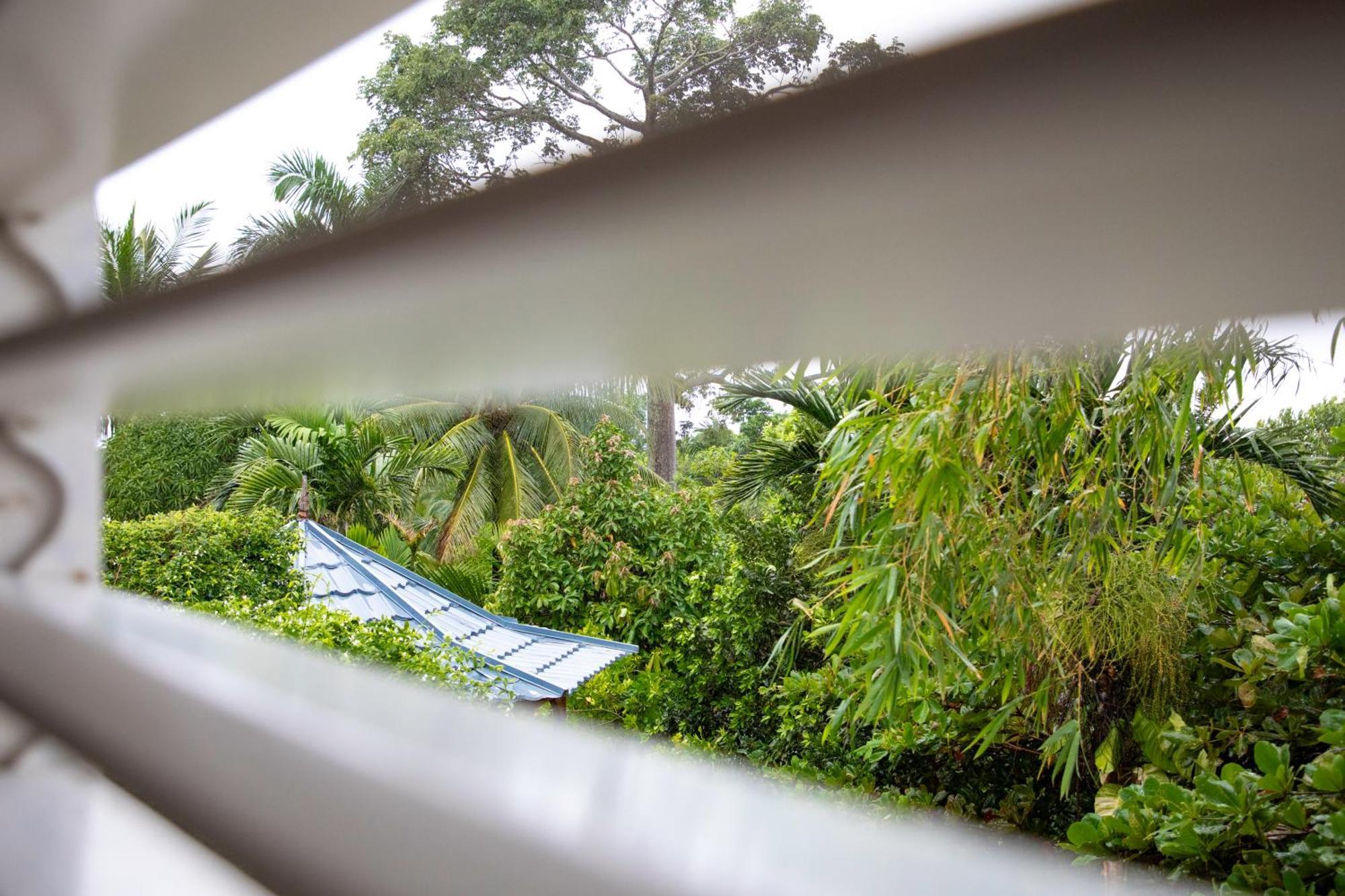 Lf Jungle Retreat Hotel Drapers Luaran gambar