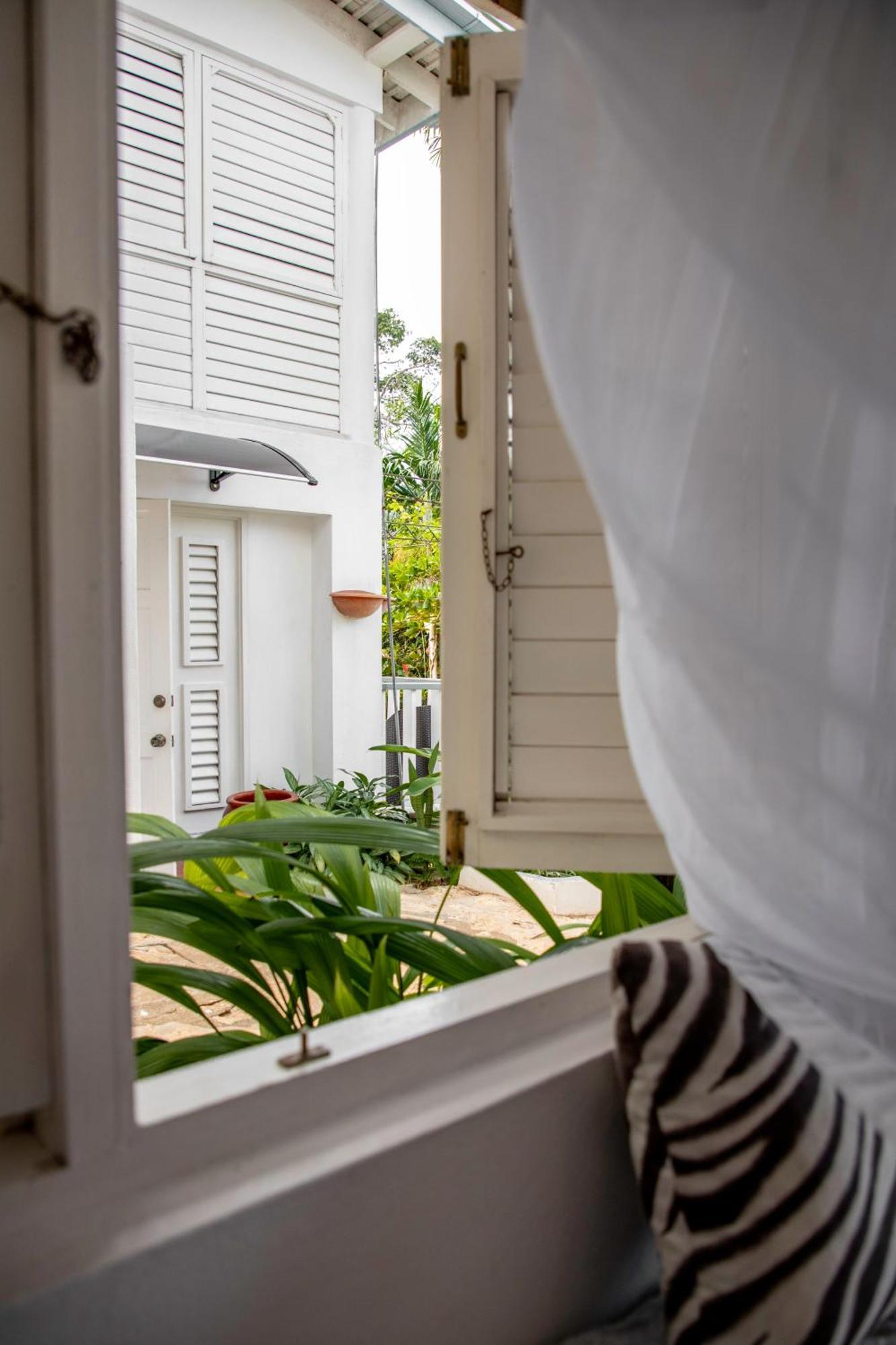 Lf Jungle Retreat Hotel Drapers Luaran gambar