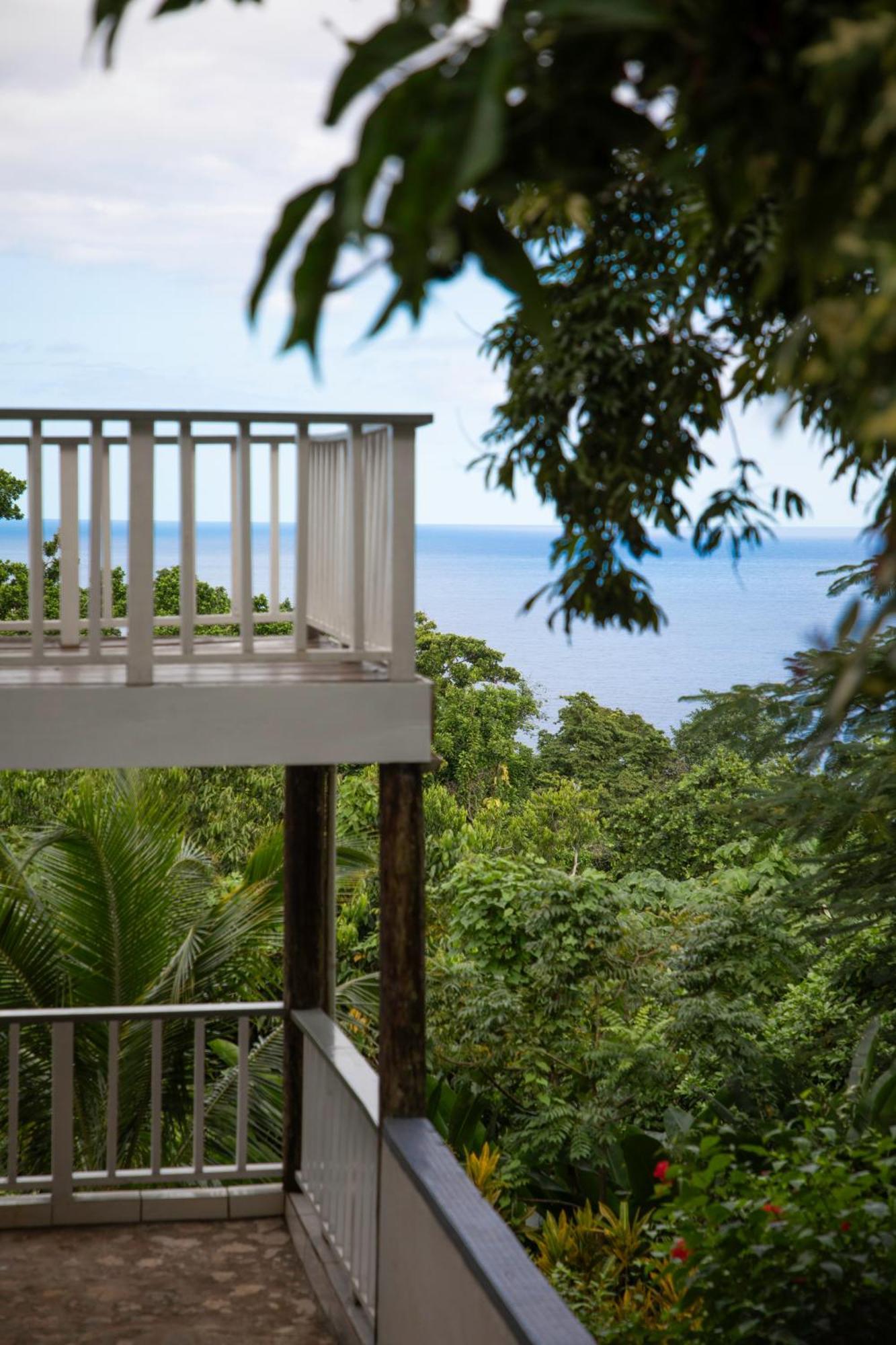 Lf Jungle Retreat Hotel Drapers Luaran gambar